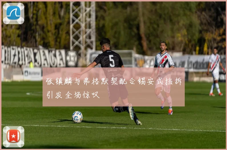 张镇麟与弗格默契配合锡安式挡拆引发全场惊叹